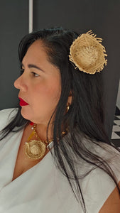 PavaJibara