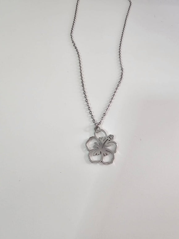 Amapola